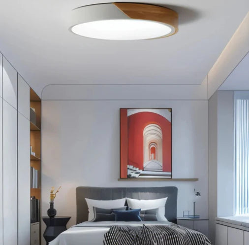 Elevate Your Space with Style: Buy Delphi Ceiling Light from HomeLightFixture