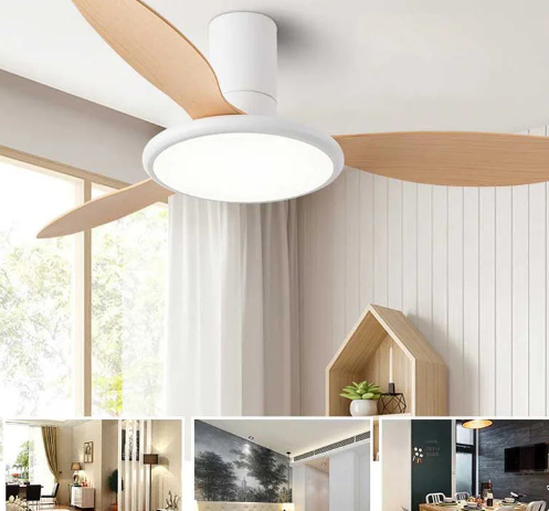 Best Zerua Ceiling Fan