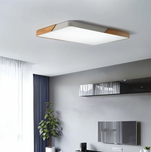 Buy Delphi  Ceiling Light