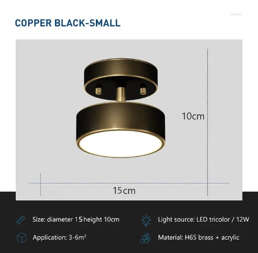 Buy Rupert Ceiling Light size 15cm