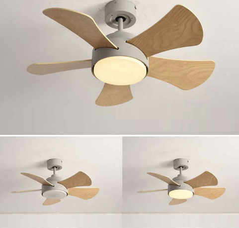 Elegant Bayu Ceiling Fan