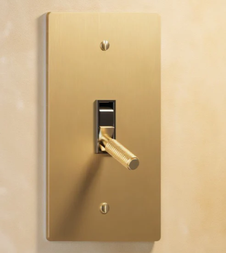 Fantastic Golden Brass Panel Switch