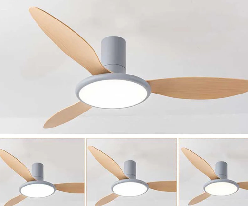 Greatest Zerua Ceiling Fan