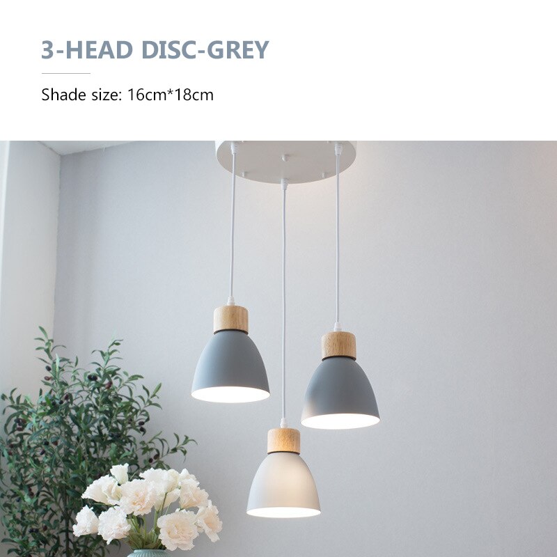 Buy Colorato Pendant Light