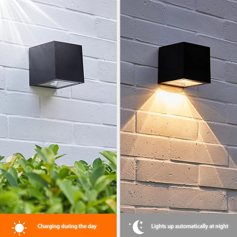 Best Evelyn Outdoor Wall Lamp