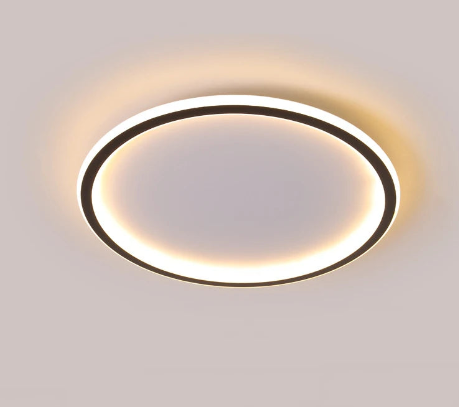 Minimalist Dayira Ceiling Light