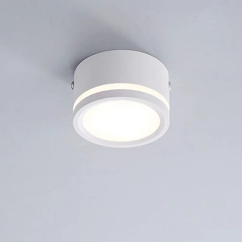 Stylish Celia Ceiling Light