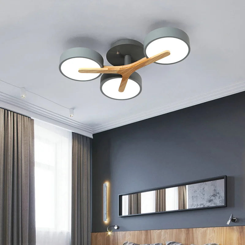 Elegant Ashane Ceiling Light