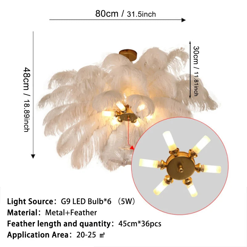 Buy Plume Chandelier Size