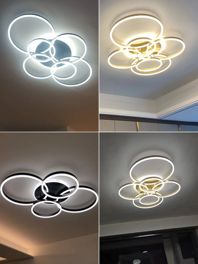 Buy Roshan Ceiling light