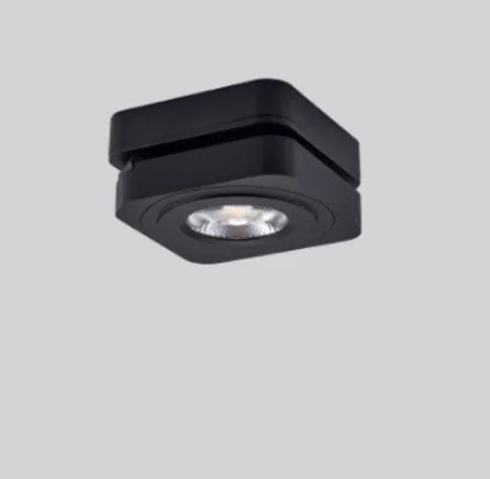 Special Deltha Downlight