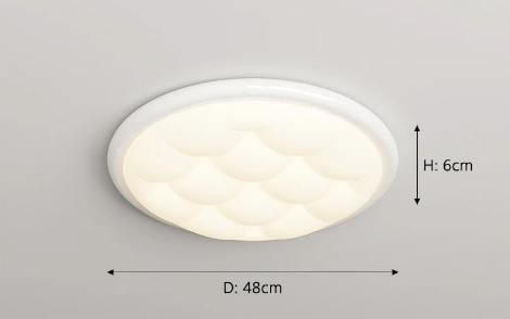 Special Laoise Ceiling Light