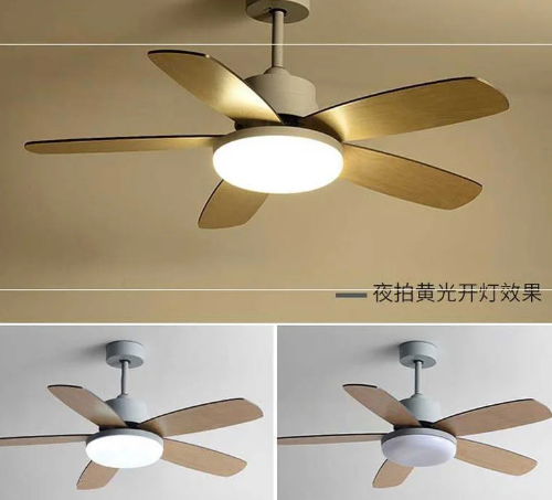 Stylish_Nuit_Ceiling_Fan