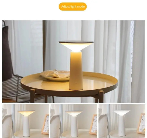 Unique Aonani Table Lamp