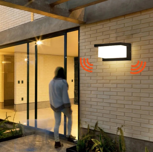 UniqueAsterOutdoorWallLamp